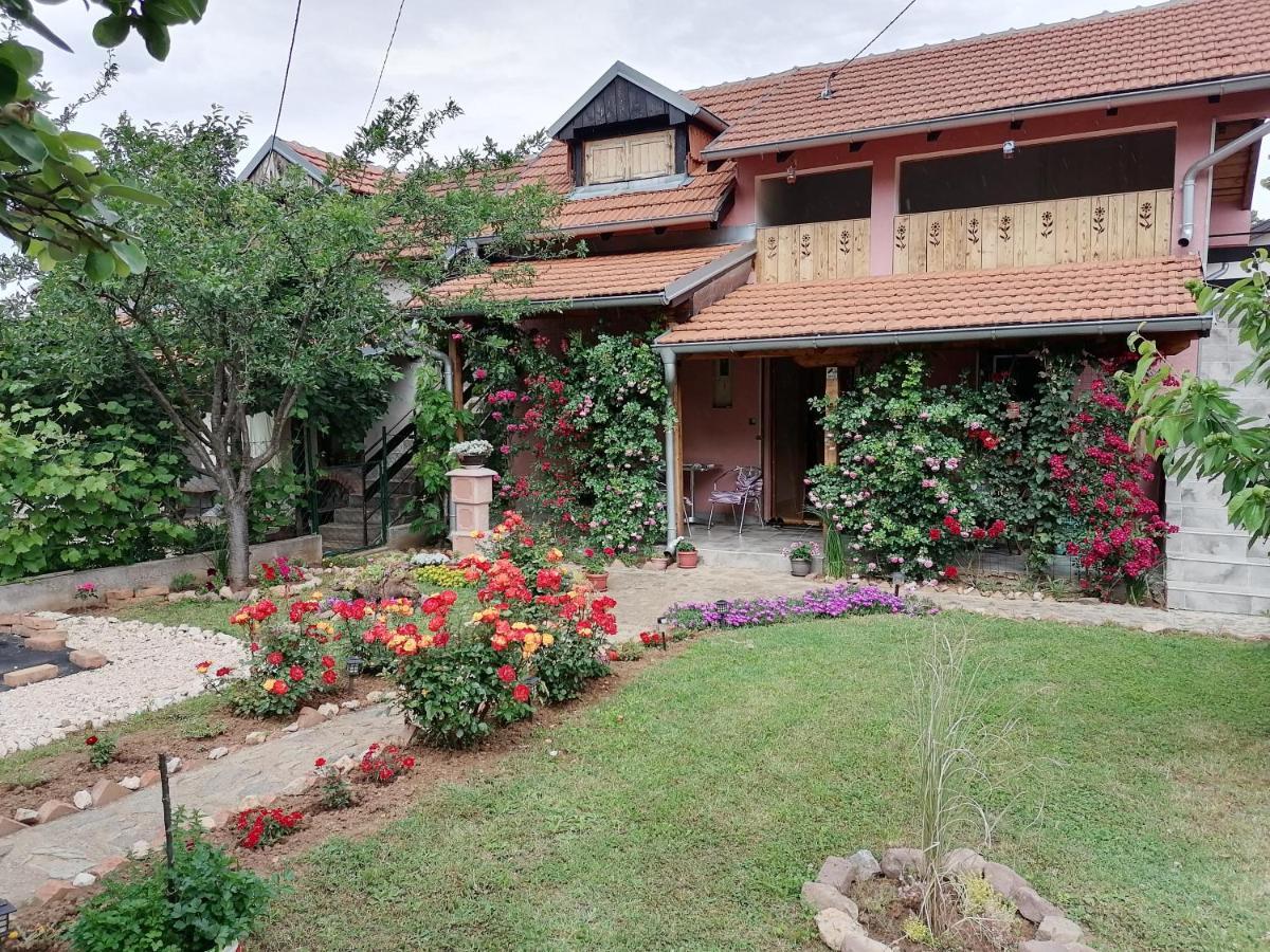 Apartman Mika Сокобаня Экстерьер фото